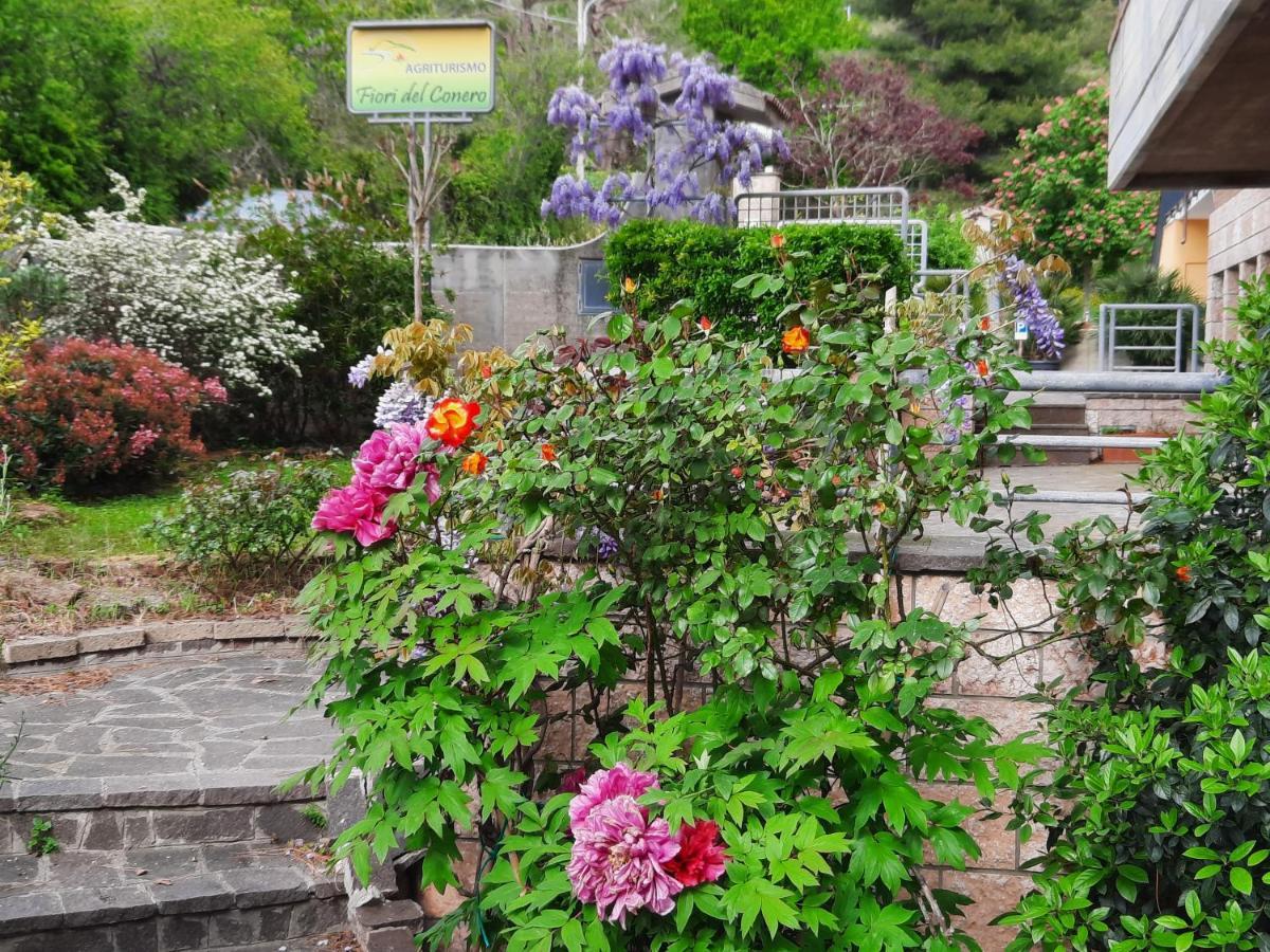 הוילה אנקונה Fiori Del Conero מראה חיצוני תמונה